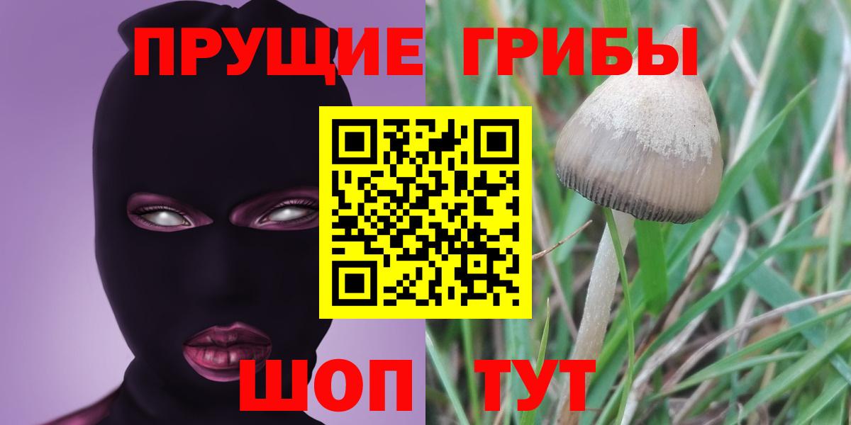 Галлюциногенные грибы мухоморы Калач-на-Дону